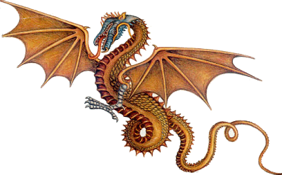 dragon0702 dragon0702